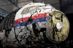 马航MH17客机遭击落8周年