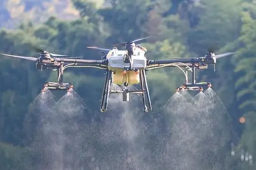 全年粮食夺取丰收有支撑