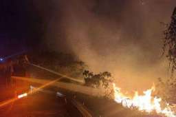 北碚火场众人欢呼：胜利了！雄起！