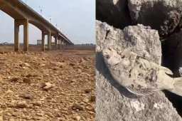 湖南97个县市区特旱：鱼被晒成鱼干