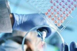 金冬雁：全球疫情正走向终结