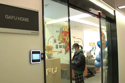 发烧向老板请假被让办离职