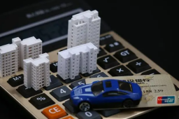 专家：年轻农民买车比买房划算