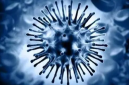 刚熬过新冠的人 又被甲流放倒