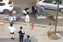 当街殴打踹飞女孩男子已被刑拘