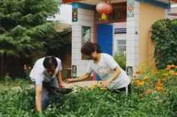 白岩松评农村房前屋后禁种蔬菜