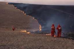 蒙古国发生草原火灾 烧死大量牲畜