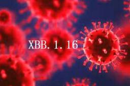 国家疾控局回应XBB.1.16流行情况