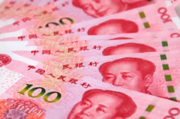 阿根廷将用人民币结算中国进口商品