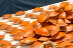 7人吃自助4小时炫300多个螃蟹