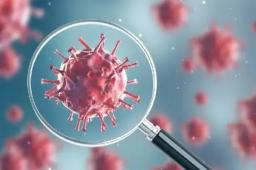 我国新冠主要流行株已变为XBB系列