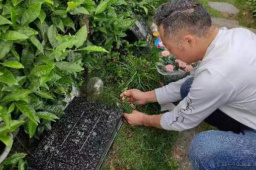 杭州坠亡女童父亲：她居然不用坐牢