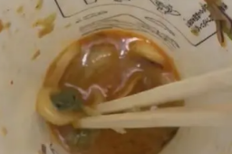 乌冬面里吃出活青蛙 日连锁店道歉