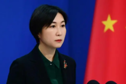 要允许俄占据部分乌领土？中方回应