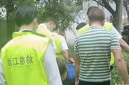 温州4起摘杨梅坠树警情 2人心跳停止