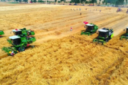 全国麦收过四成