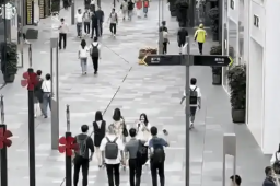 牵手门后太古里街拍依然火爆