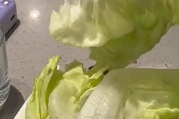 海底捞回应8块钱生菜仅2片