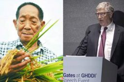盖茨北京演讲盛赞袁隆平