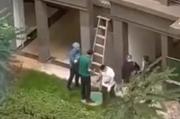 警方辟谣江西一小区发生分尸案