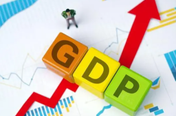 今年GDP增长预期目标为5%左右