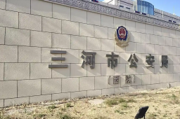 三河公安局警徽被改色 当地拒回应